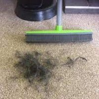 Get Hair Out Of Carpet