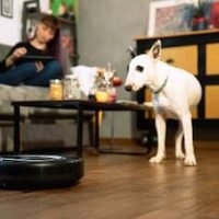 Do Robot Vacuums Fall Down Stairs