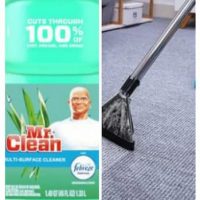 Can I Use Mr. Clean In My Carpet Cleaner