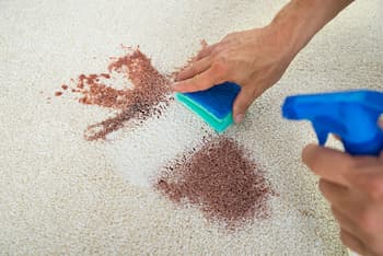 Can You Use Pine Sol On Carpet