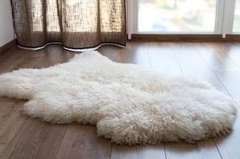 Carpet Sample Furry