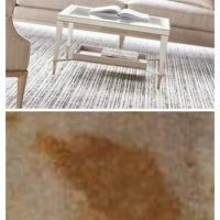 How To Get Wood Stain Out Of Carpet